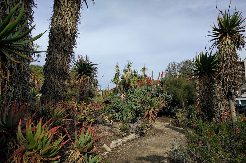 Six things to do while staying at the UCLA Guest House